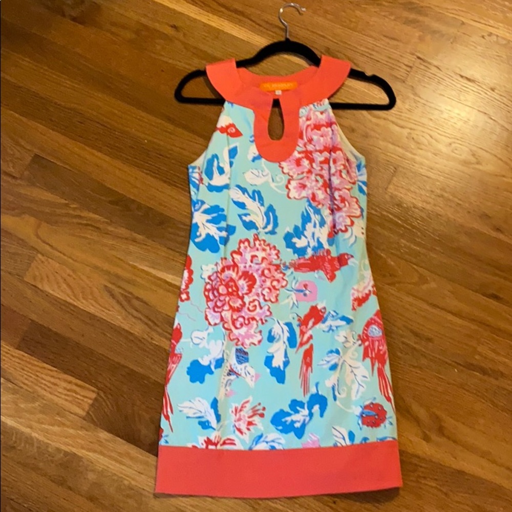 Ck Bradley 2 Dress